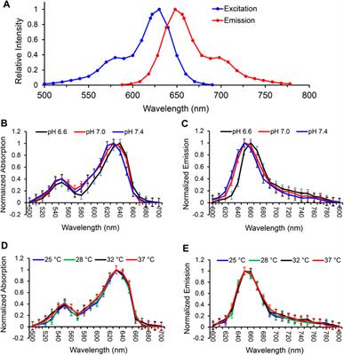 Characterization of the far-red fluorescent probe MitoView 633 for dynamic mitochondrial membrane potential measurement